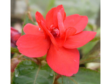 �������� ��� ������?