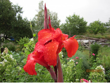 ����� �������, � ��̣���� ��������, ��������� ��������