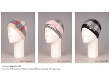 �����	WWH11-022