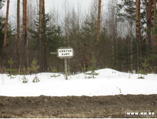 ������ ������