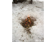 ������ )