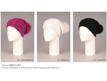 �����	WWH11-027