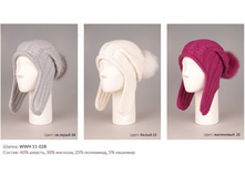 �����	WWH11-028