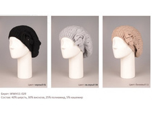 �����	WWH11-029