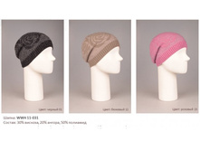 �����	WWH11-031