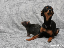 �������� � ������