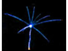 ��������� ������.jpg