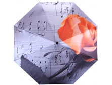 ���� ������� Fli*oraj 013*-3 FJ  923.00 ���. 