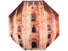 ���� ������� Flio*raj 014*-23 FJ  890.00 ���. 