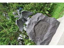 ���������� ��������� �����