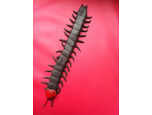 18 ���. ��������� �����������.jpg