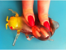 31 ���. �������-���������.jpg