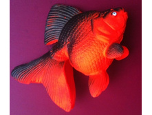 84 ���. ����� ��������.jpg