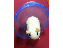 120 ���. ��������-�������.jpg