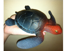 120 ���. �������� ��������.jpg