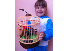 270 ���. ������ � ������� ������.jpg