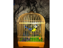 320 ���. ������ � ���������� ������.jpg