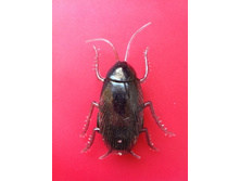 28 ���. ����������� �����������.jpg