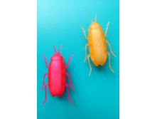 47 ���. ����-��������.jpg