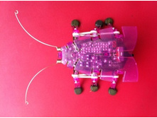 98 ���. ���������� ���.jpg