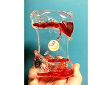 100 ���. ���� �����-������������ �������.jpg