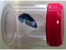 200 ���. �������-����������.jpg