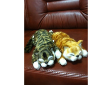 320 ���. ������� ���.jpg