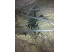 90 ���. ������� ����������.jpg