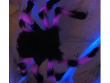 140 ���. ����-�������.jpg