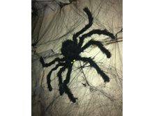 170 ���. ���� ����.jpg