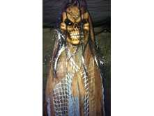 1000 ���. ���������� �����.jpg