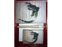 47 ���. ����� 2 �������� + �����.jpg