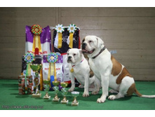 �\'����� II � ������ ����� ��������� ����