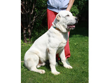 ������� ���� ����