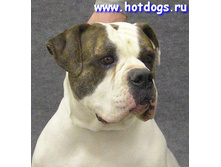 ������ �����