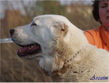 ������� ���� ����