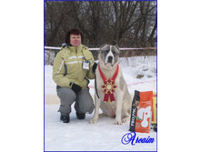 ����������� ������� ��� ������ �����