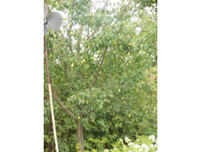 ���� 052.jpg