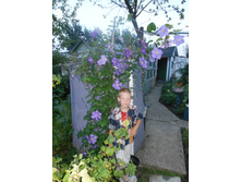 ���� 002.jpg