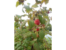 ���� 038.jpg