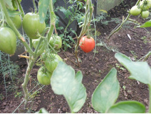 ���� 101.jpg