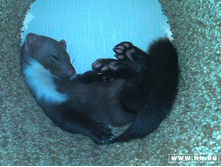 �������, ���� :)