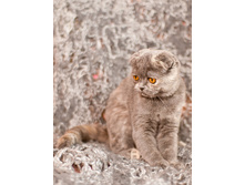 89595--49176733-m750x740-u1f603.jpg