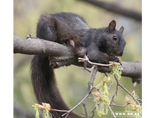 ����� ������������