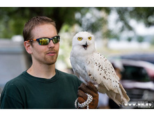 ������� � �����