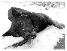 "���,������?" ����� court