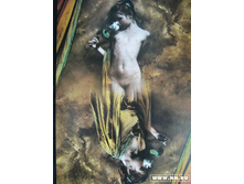 ����� �� ������.