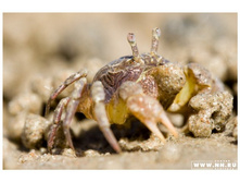 ������ 5�� ������