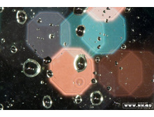 ����������������