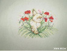 ���������� ��������